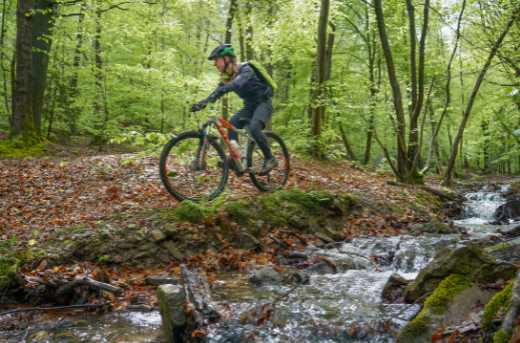 mountainbike bos