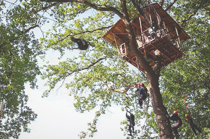adrenaline treehouse