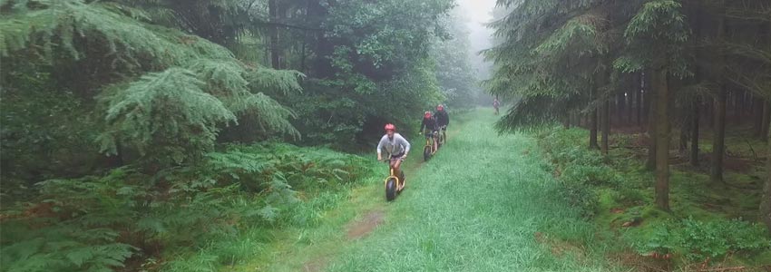 steppen ardennen