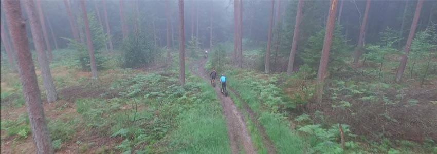 steppen ardennen